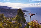 Funchal